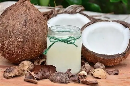 Aceite de coco