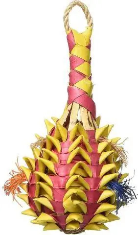 Planet Pleasures Pineapple Foraging Bird Toy