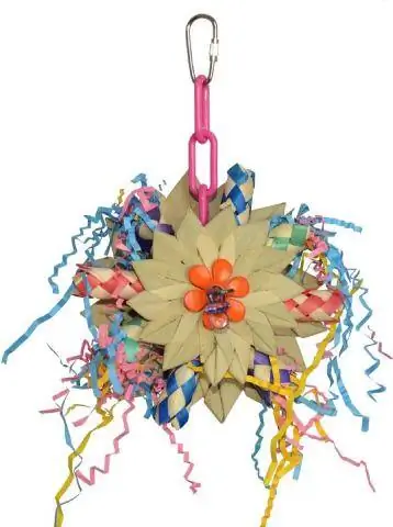 Super Bird Creations Pinwheel Ndege Toy