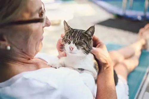 mulher sênior acariciando gato velho