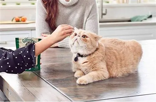 Thức ăn cho mèo Greenies Feline SmartBites He althy Skin & Fur