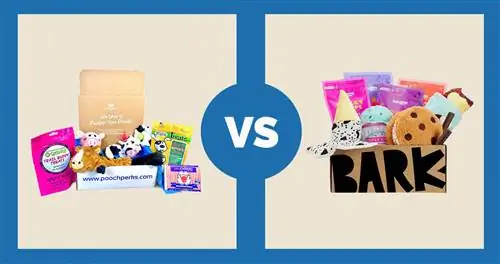 Avantages de toutou vs BarkBox