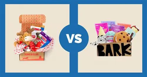 Câu lạc bộ KONG vs BarkBox