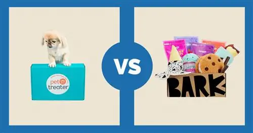 Điều trị thú cưng vs BarkBox