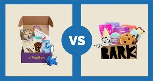 PupBox contre BarkBox