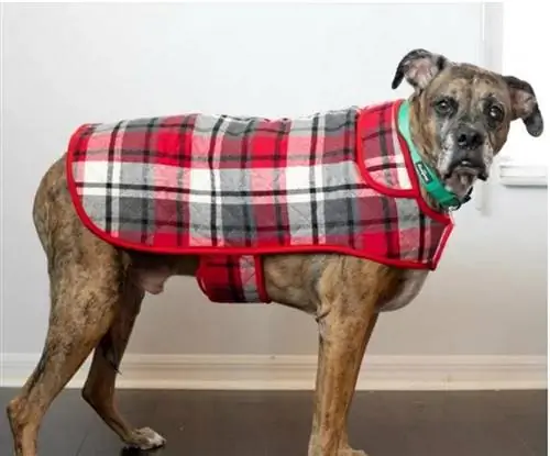 DIY dog sweater