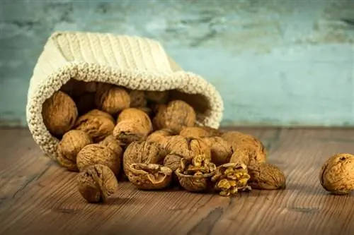 Una bolsa de nueces sobre una mesa