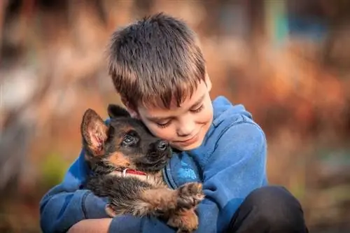 çocuk-alman-çoban-köpek yavrusu_Stone36_shutterstock