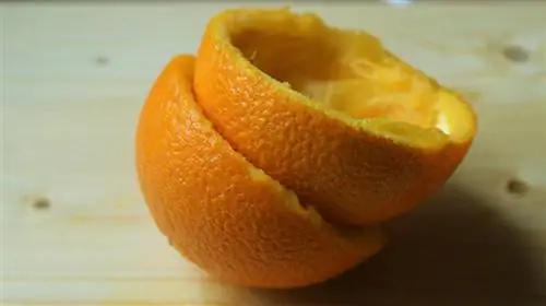 écorces d'orange