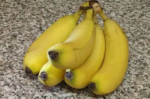 banan frukt