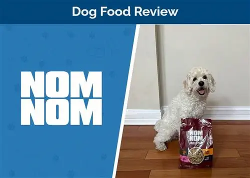 Nom Nom Variety Pack Dog Food Review 2023: Ang Opinyon ng Aming Eksperto