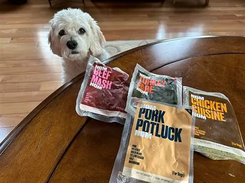 cavapoo dog and nomnom variety pack samples