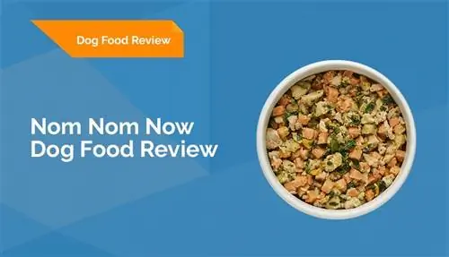 بررسی اشتراک Nom Nom Dog Food 2023: مزایا، معایب & حکم