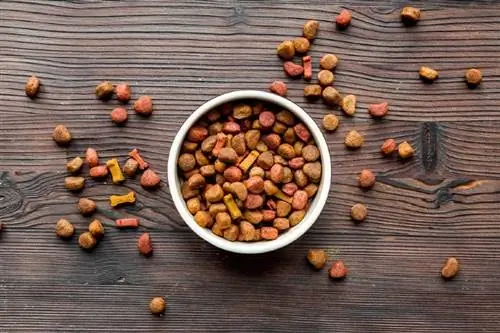 comida de cachorro seca na tigela