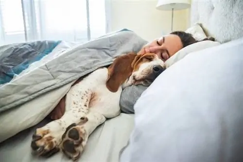 huisdiereigenaar slaapt met hond op haar bed