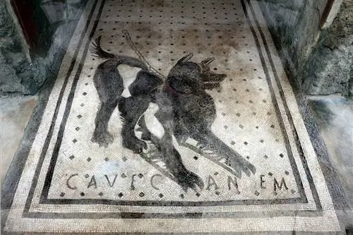 Casa_del_poeta_tragico, _mosaico_del_cave_canem