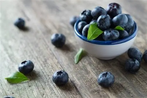 blueberries