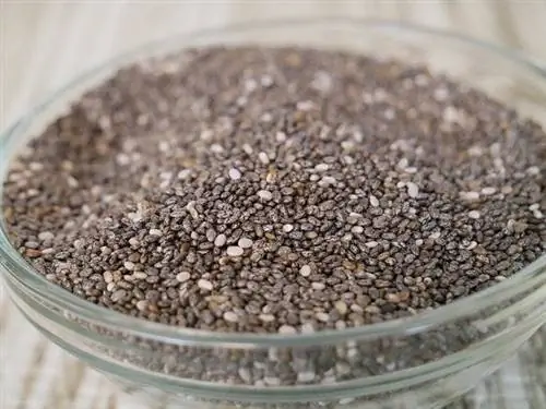 Semillas de chia