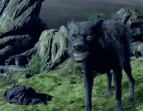 Hvilken slags hund er Sirius Black fra Harry Potter? (Fakta, & FAQ)