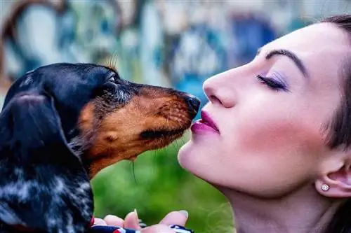 Dona sostenint un dachshund