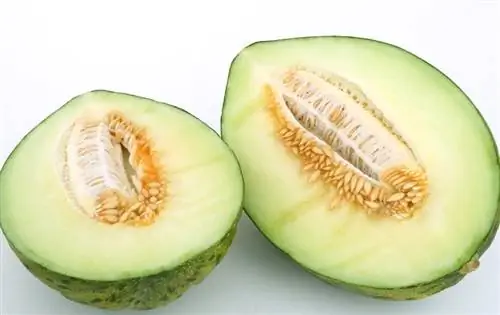 melon diiris terbuka