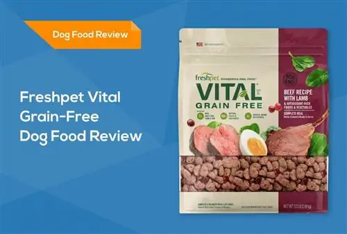 Freshpet Vital Recenzija hrane za pse bez žitarica: opoziva, prednosti & Protiv