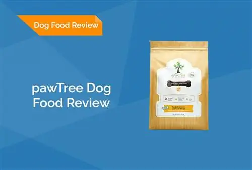 PawTree Dog Food Review 2023. Հիշում է, կողմ & Դեմ