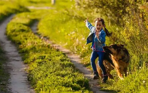 22 Ras Anjing Terburuk untuk Anak-Anak