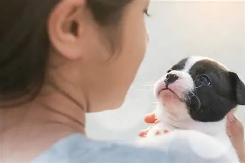 femme qui parle à un chiot