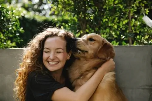 Golden retriever die het gezicht van een vrouw likt