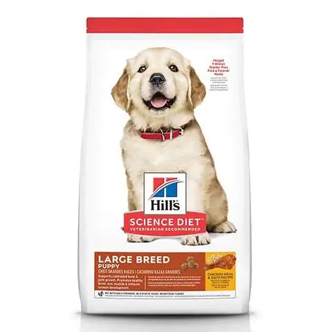 Hill's Science Diet Puppy Large Breed Dog Food