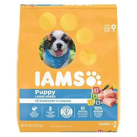 Iams प्रोएक्टिव हेल्थ स्मार्ट ड्राई डॉग फ़ूड