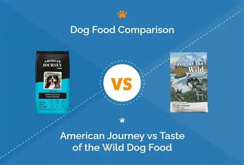 American Journey vs Taste of the Wild Dog Food: nossa comparação detalhada de 2023