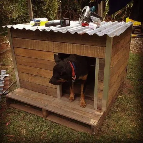 Rumah Anjing Pallet Pedesaan oleh Easy Pallet Ideas