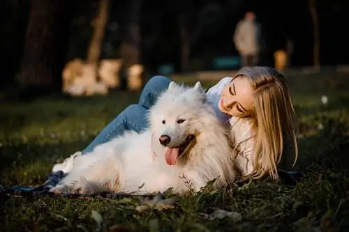 Wanita muda cantik berbaju putih sedang memeluk anjing putihnya bersamoy di luar rumah