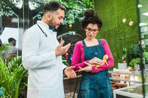 vrouwelijke klant praat met dierenarts in dierenwinkel en houdt schattige centrale baardagaam vast