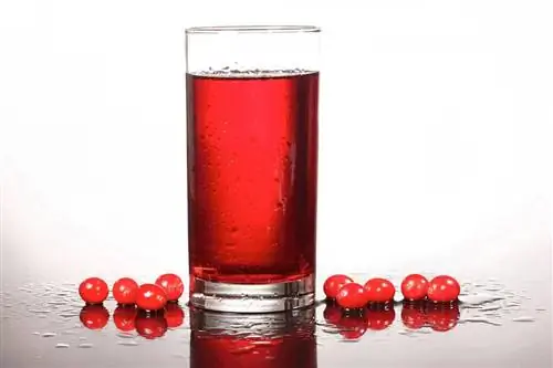 cranberry sap