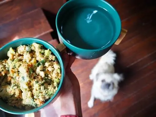 Рецептата за прясна пуйка на Farmer's Dog в купа се сервира на бяло куче