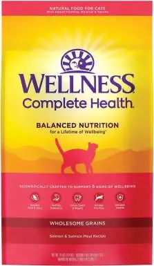 Wellness Complete He alth Lachs-Trockenfutter für Katzen für Erwachsene