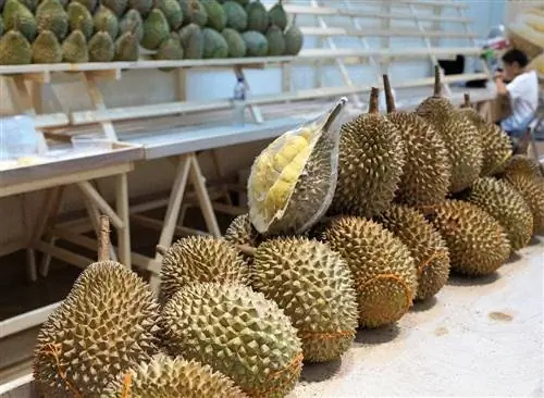 durian sælges på markedet