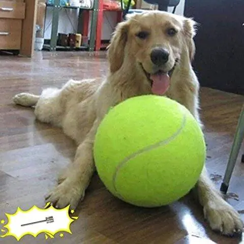 Minge de tenis Banfeng Giant Dog