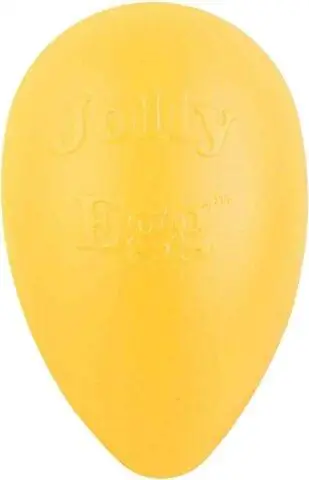 Igrača za pse Jolly Pets Jolly Egg