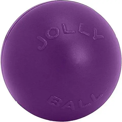 Jolly Pets ของเล่นสุนัข Push-n-Play Ball ขนาด 10 นิ้ว