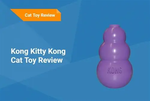 Recensione del giocattolo per gatti Kong Kitty Kong 2023: domande frequenti, pro, contro, verdetto &