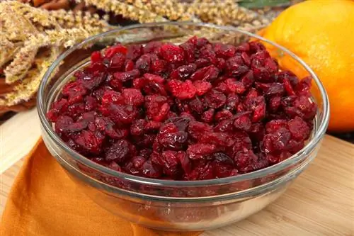 mangkuk kaca berisi cranberry atau craisin kering di dapur