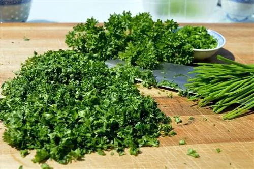 የተከተፈ parsley