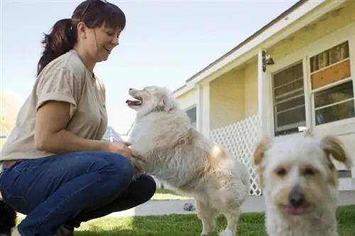 un ouvrier de chenil joue avec un chien