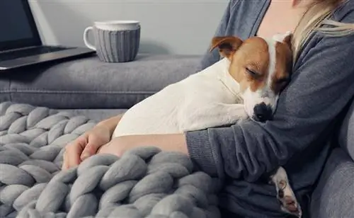 kadın köpeği kucaklıyor