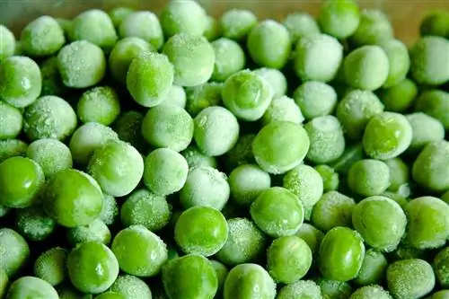 Frozen Pea