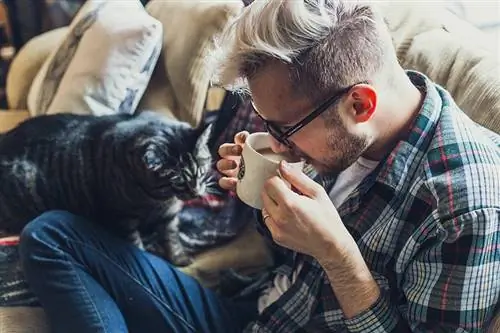 Cat Beside Owner Coffee